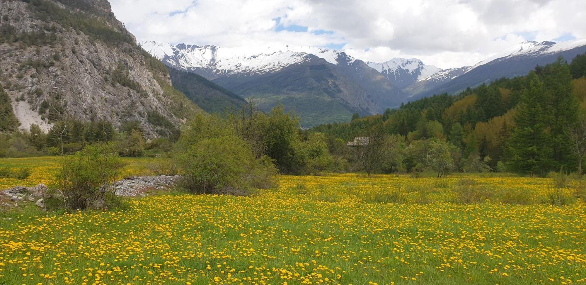 Appartamento Casa Agnes Bardonecchia Esterno foto